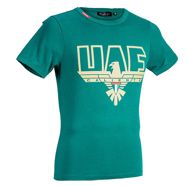 50% Discount | 2 UAE Falcon T-Shirt Bundle (E.Green | Black) | Caliente T-shirts & Polos Collection